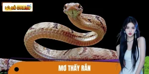 Mơ Thấy Rắn – Tín Hiệu Vận Mệnh Ít Người Nhận Ra