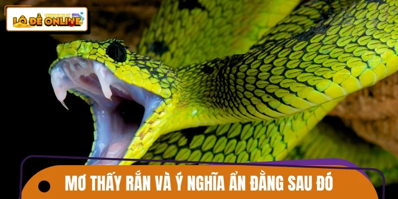 Mơ thấy rắn và ý nghĩa ẩn đằng sau đó